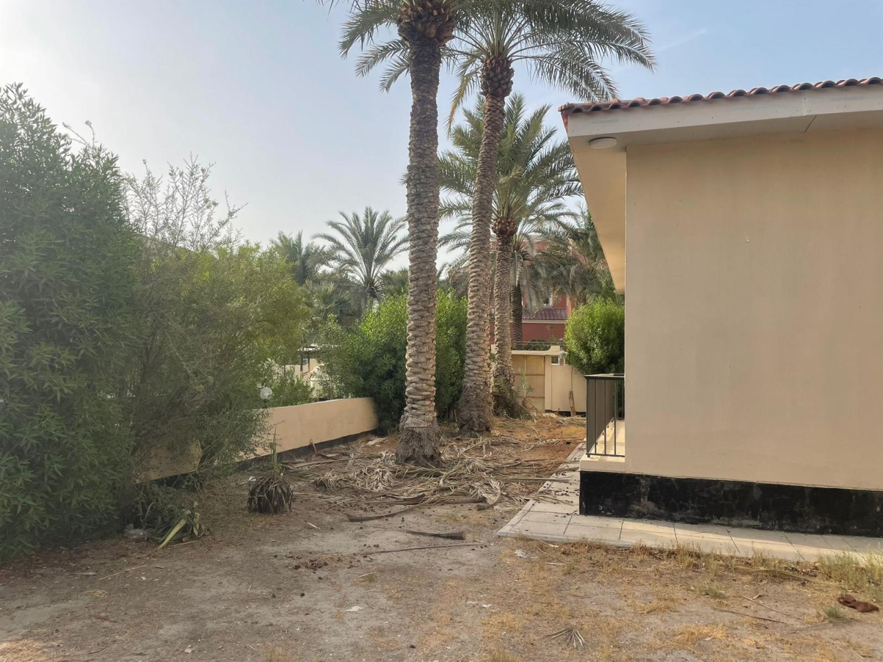 property 291 image 5