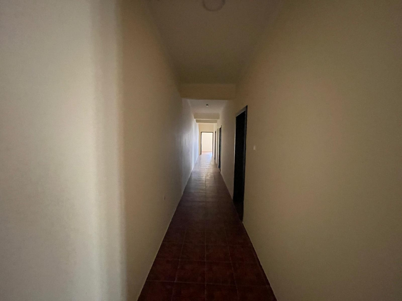 property 382 image 0