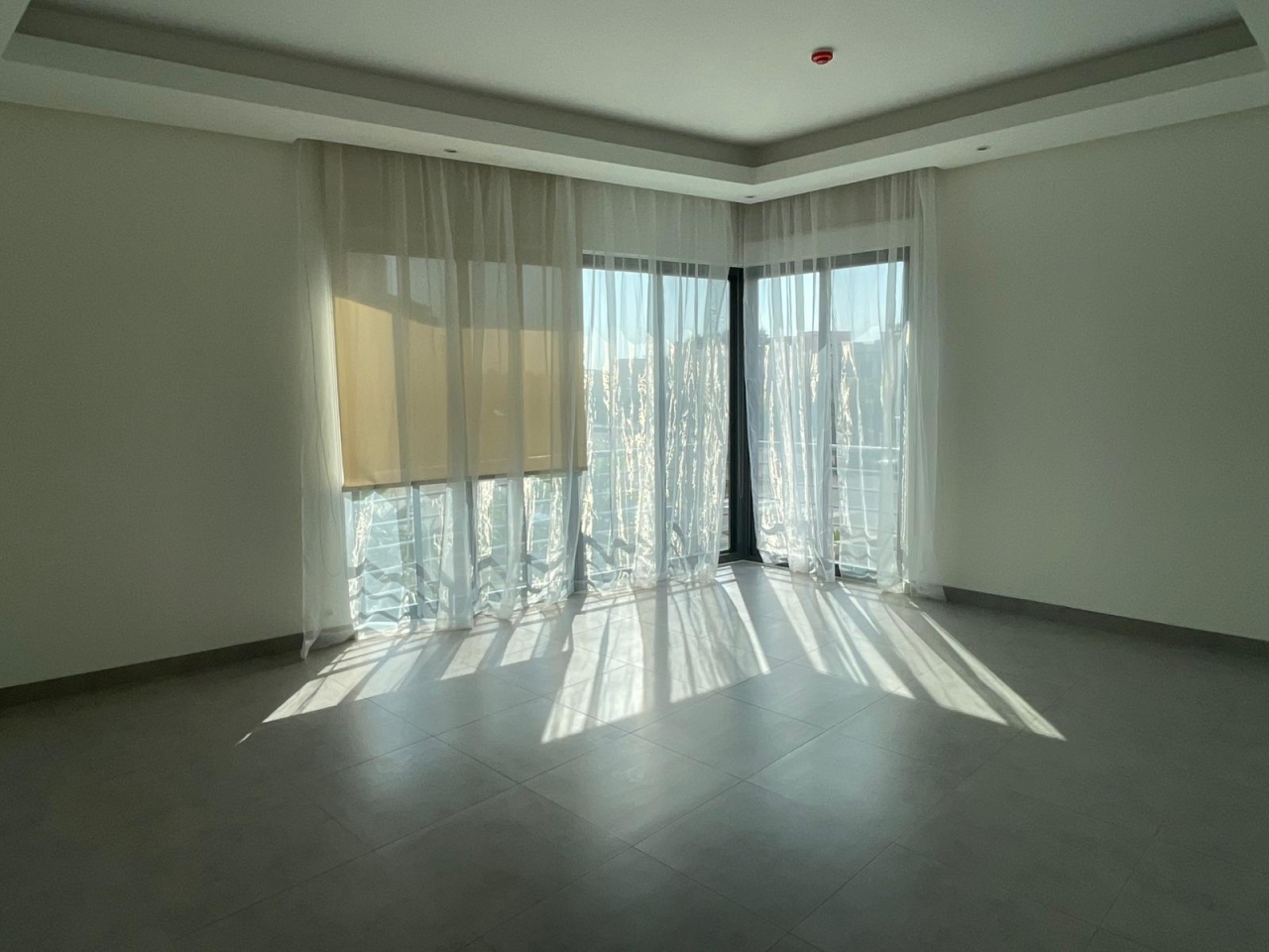 property 477 image 2